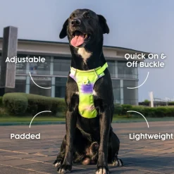 Dash Dog Neon Fusion Outdoor Ease Harness For Dog - Neon Green