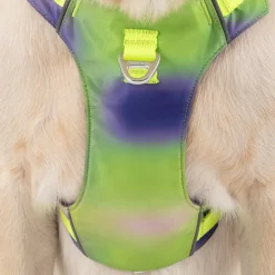 Dash Dog Neon Fusion Outdoor Ease Harness For Dog - Neon Green
