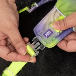Dash Dog Neon Fusion Outdoor Ease Harness For Dog - Neon Green