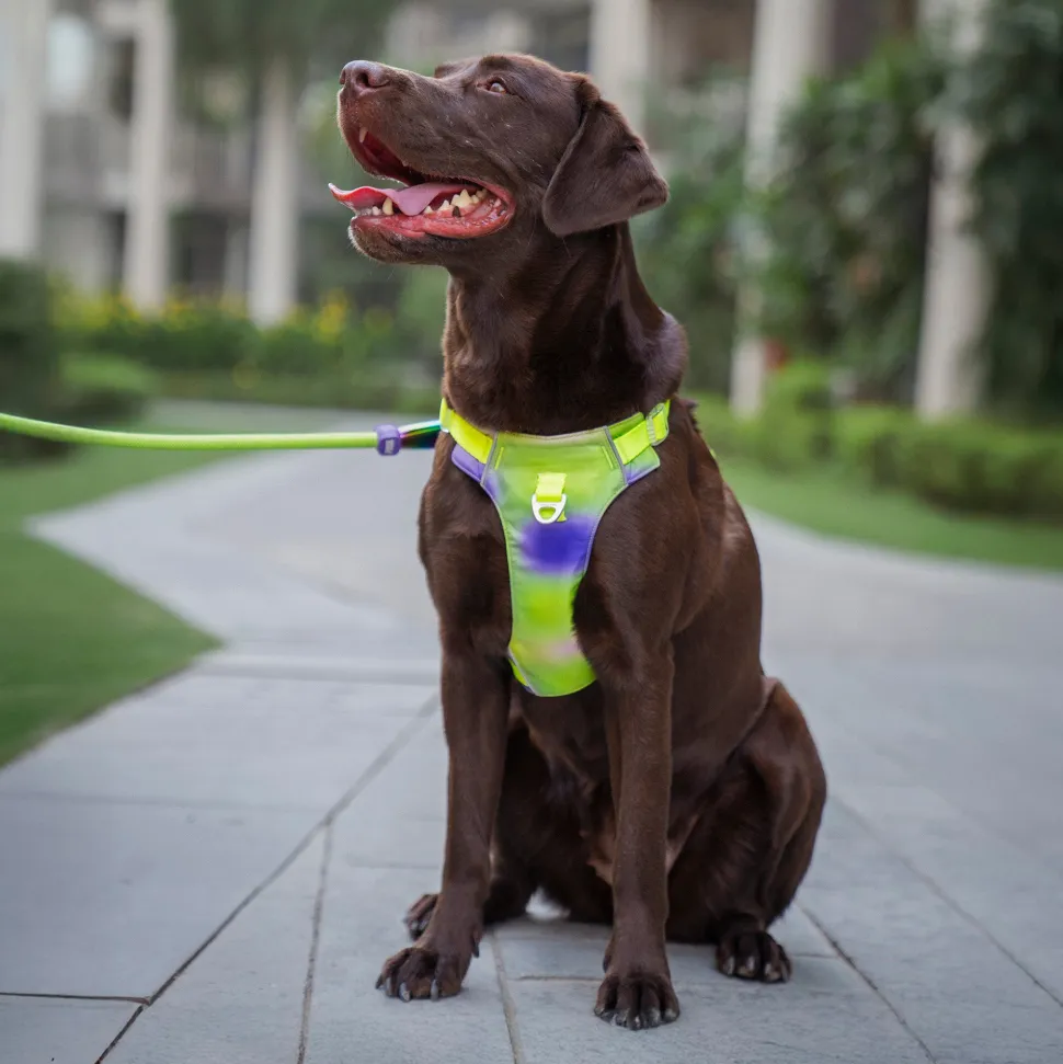 Dash Dog Neon Fusion Outdoor Ease Harness For Dog - Neon Green