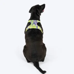 Dash Dog Neon Fusion Outdoor Ease Harness For Dog - Neon Green