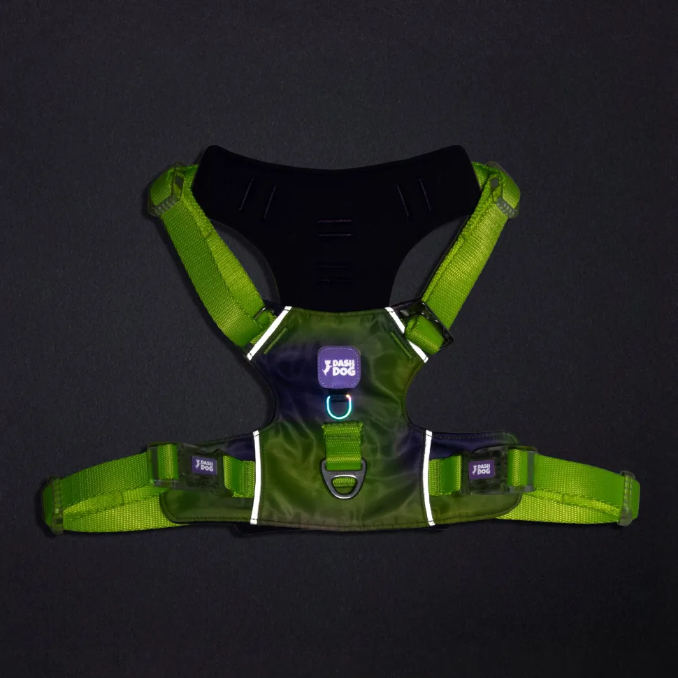 Dash Dog Neon Fusion Outdoor Ease Harness For Dog - Neon Green