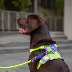 Dash Dog Neon Fusion Outdoor Ease Harness For Dog - Neon Green
