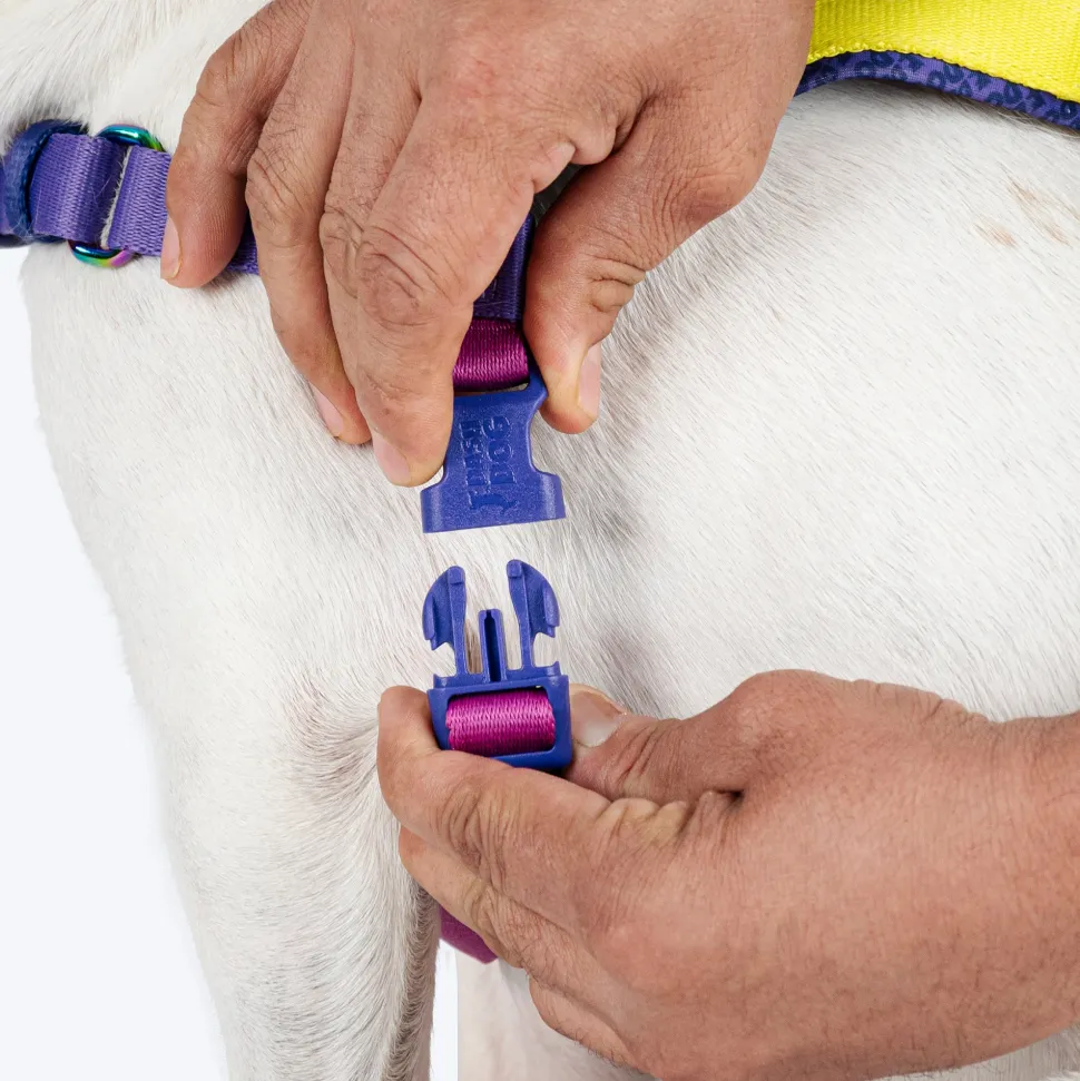 Dash Dog On-The-Go Harness For Dog - Yellow