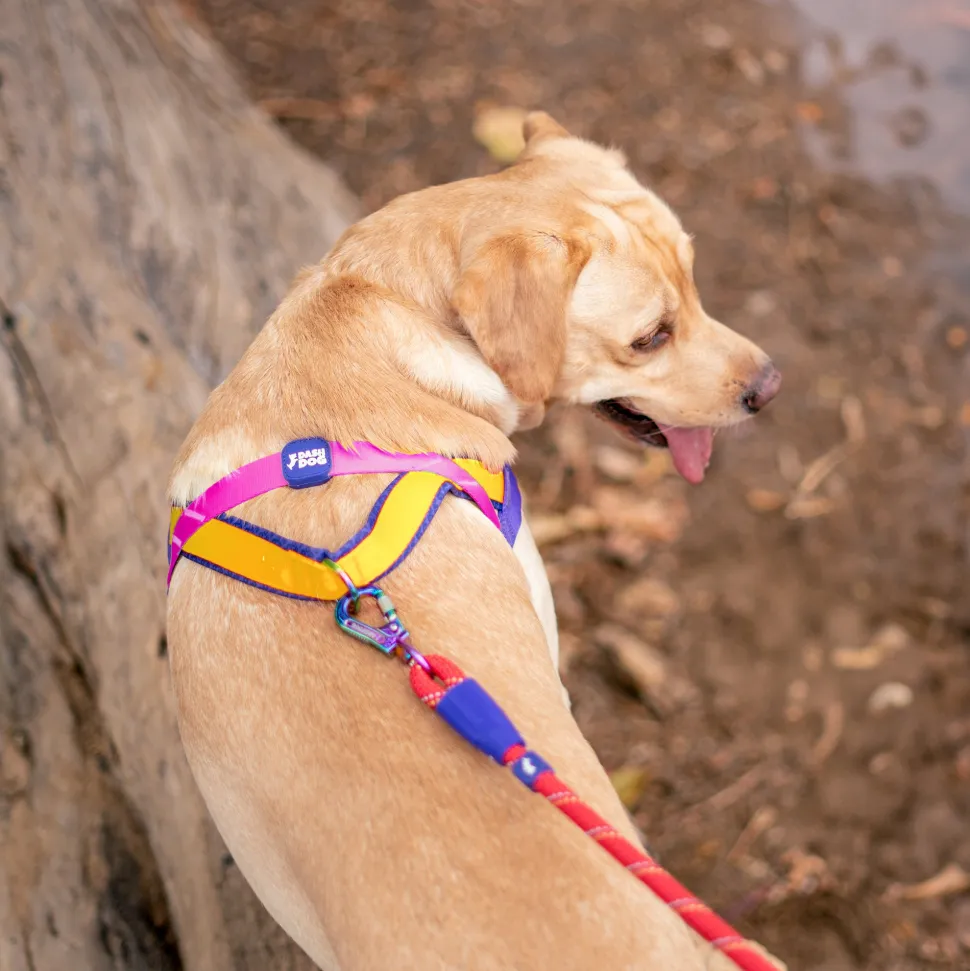 Dash Dog On-The-Go Harness For Dog - Yellow