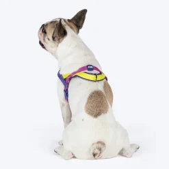 Dash Dog On-The-Go Harness For Dog - Yellow