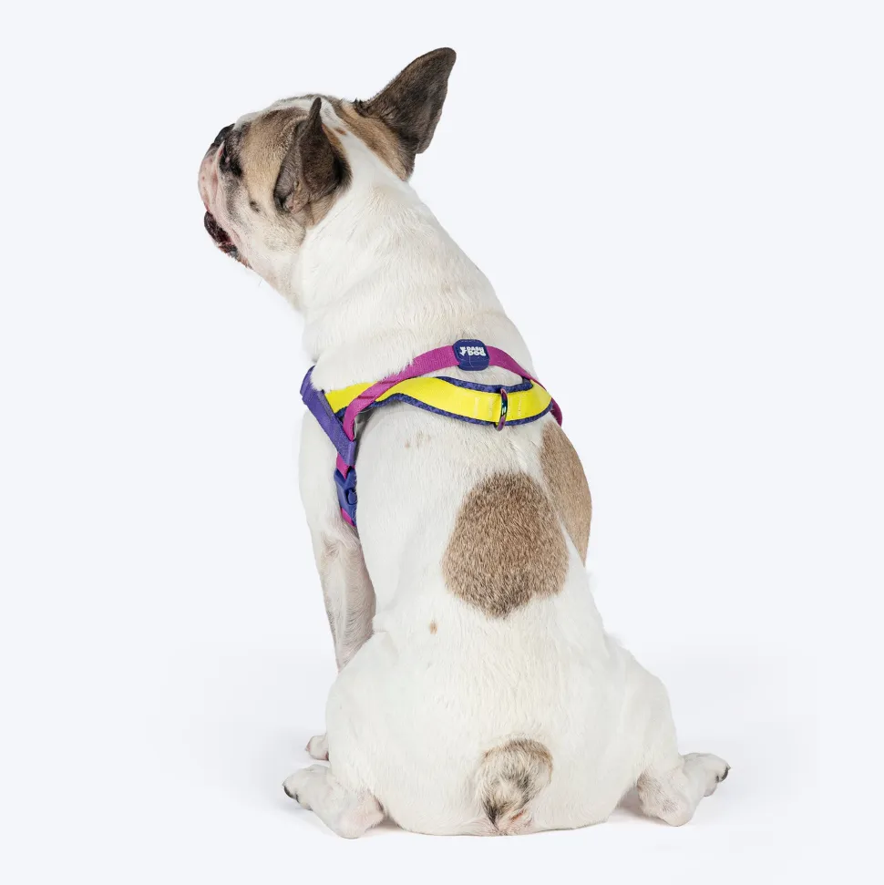 Dash Dog On-The-Go Harness For Dog - Yellow
