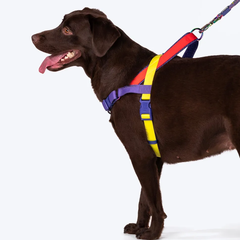 Dash Dog On-The-Go Harness For Dog - Red