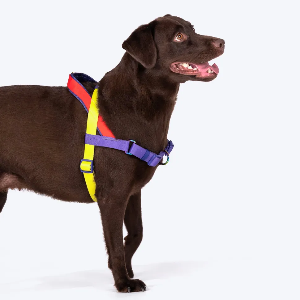 Dash Dog On-The-Go Harness For Dog - Red