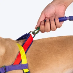 Dash Dog On-The-Go Harness For Dog - Red