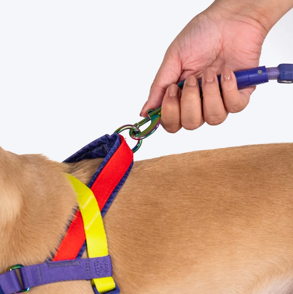 Dash Dog On-The-Go Harness For Dog - Red