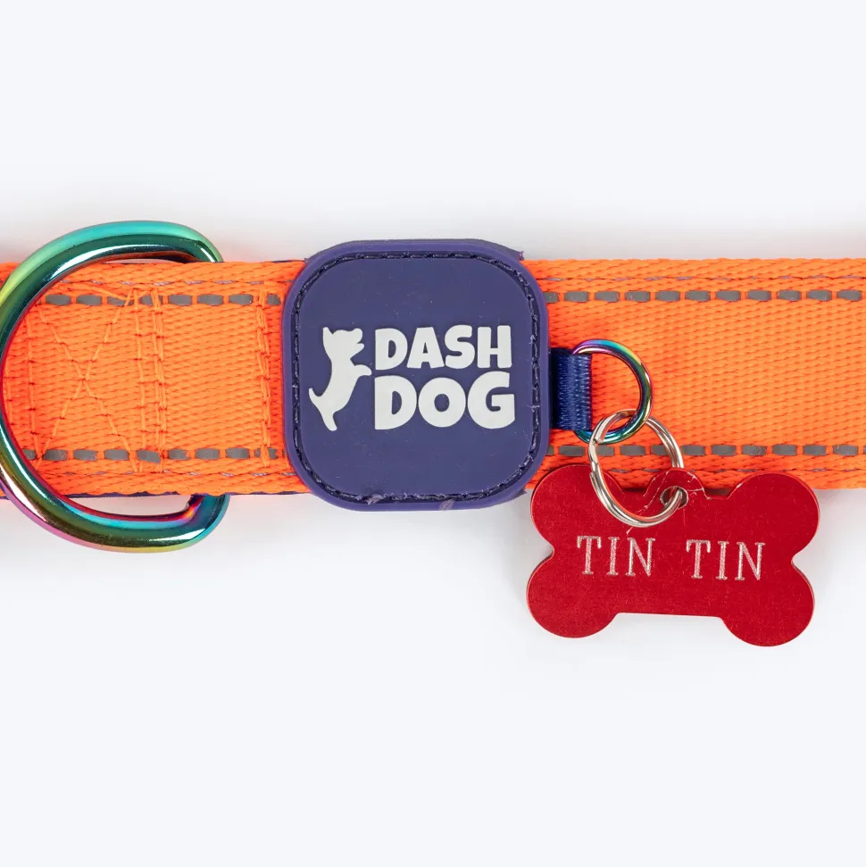 Dash Dog Padded Collar For Dog - Blue & Orange