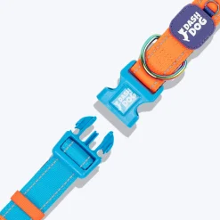 Dash Dog Padded Collar For Dog - Blue & Orange