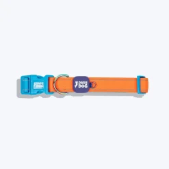 Dash Dog Padded Collar For Dog - Blue & Orange