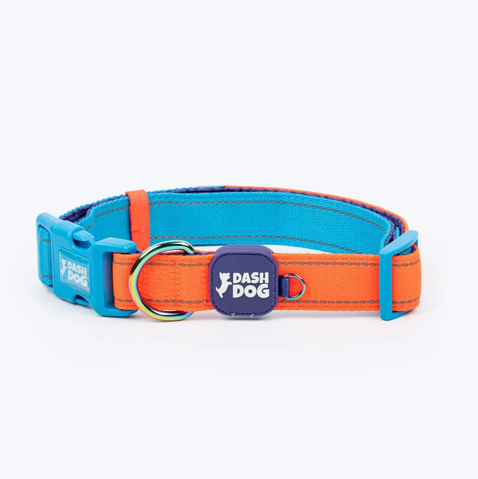 Dash Dog Padded Collar For Dog - Blue & Orange
