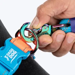 Dash Dog Padded Collar For Dog - Blue & Orange