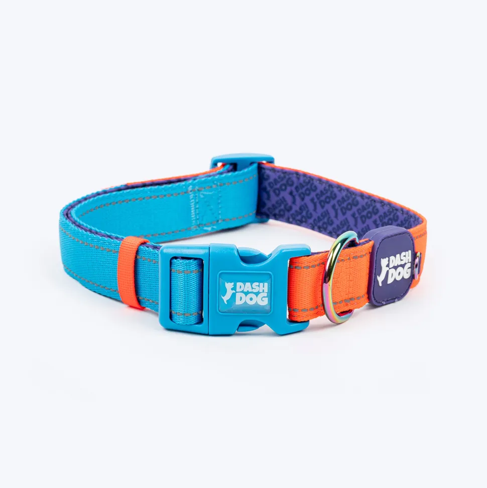 Dash Dog Padded Collar For Dog - Blue & Orange