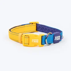 Dash Dog Padded Collar For Dog - Royal Blue & Yellow