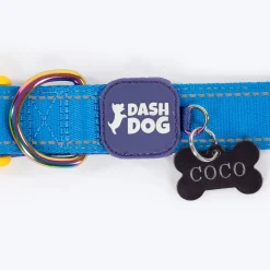 Dash Dog Padded Collar For Dog - Royal Blue & Yellow