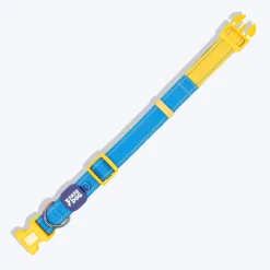Dash Dog Padded Collar For Dog - Royal Blue & Yellow