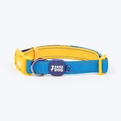 Dash Dog Padded Collar For Dog - Royal Blue & Yellow