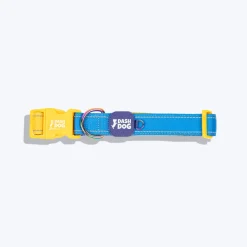 Dash Dog Padded Collar For Dog - Royal Blue & Yellow
