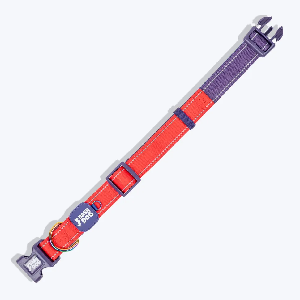 Dash Dog Padded Collar For Dog - Red & Purple