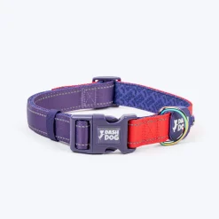 Dash Dog Padded Collar For Dog - Red & Purple