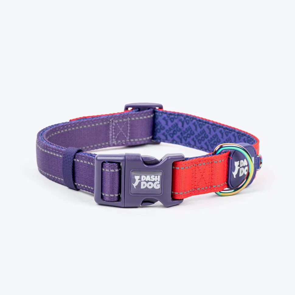 Dash Dog Padded Collar For Dog - Red & Purple