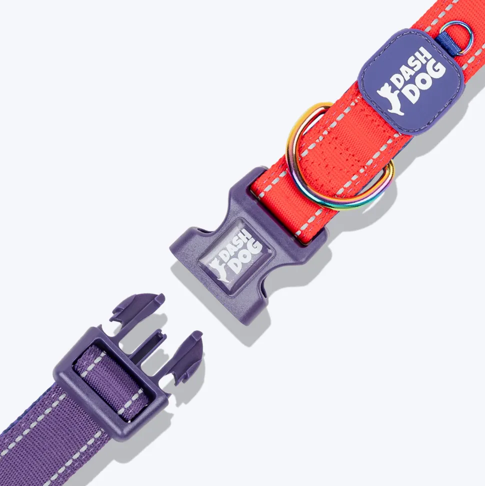 Dash Dog Padded Collar For Dog - Red & Purple