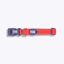 Dash Dog Padded Collar For Dog - Red & Purple
