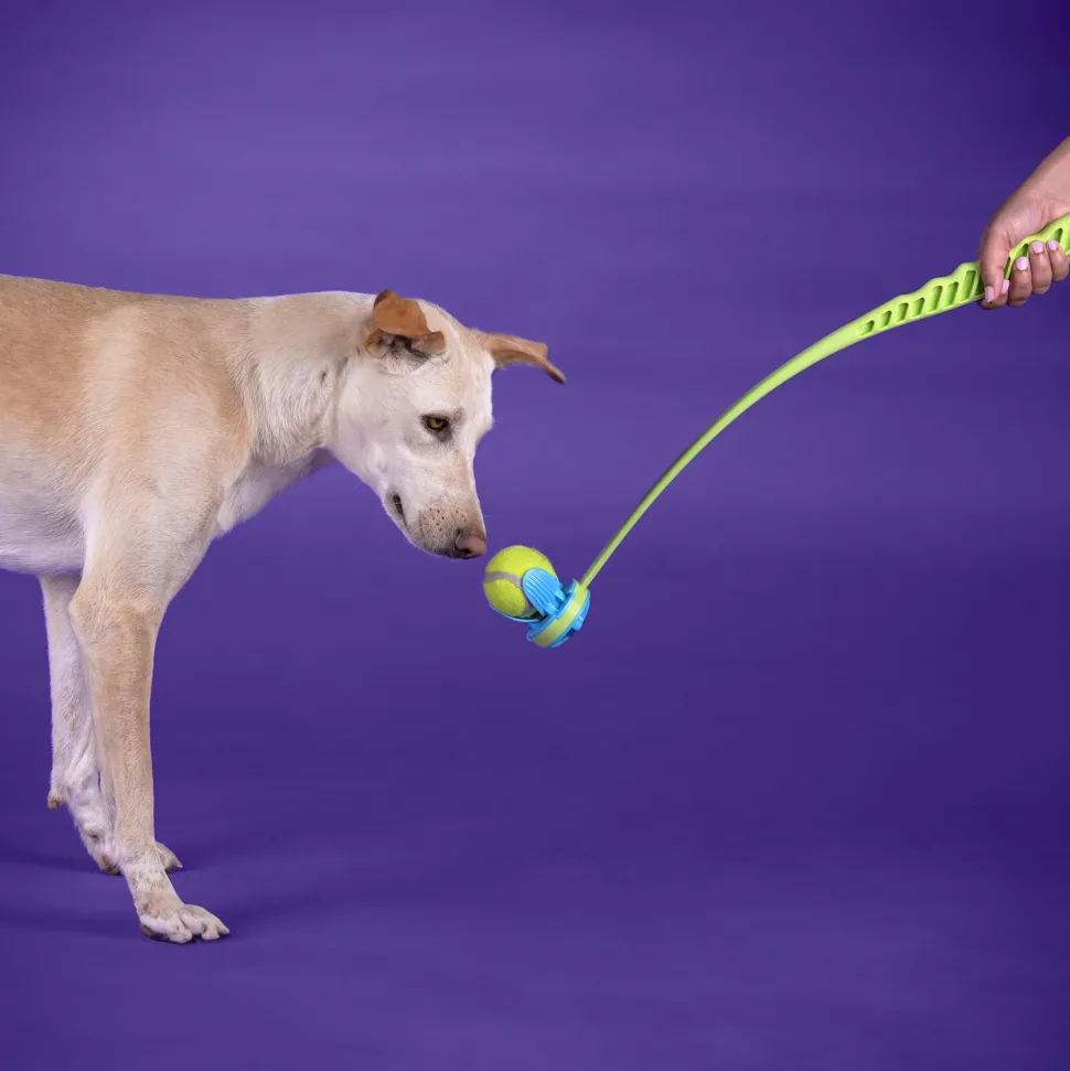 Dash Dog Paw Speed Launcher Interactive Toy For Dog