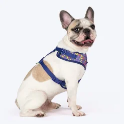 Dash Dog Pixel Easy Walk Harness For Dog - Purple