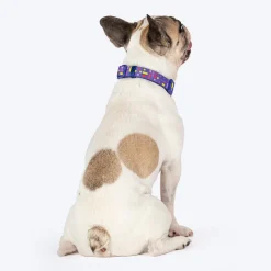 Dash Dog Pixel Padded Collar For Dog - Purple