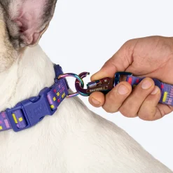 Dash Dog Pixel Padded Collar For Dog - Purple