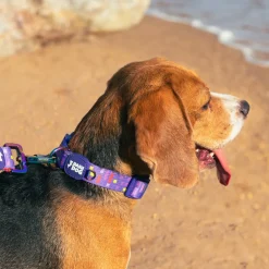 Dash Dog Pixel Padded Collar For Dog - Purple