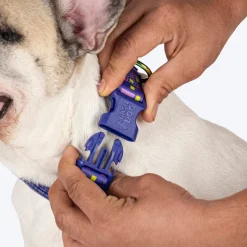 Dash Dog Pixel Padded Collar For Dog - Purple