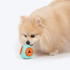 Dash Dog Quadrafun Chew Toy For Dog - Blue & Orange