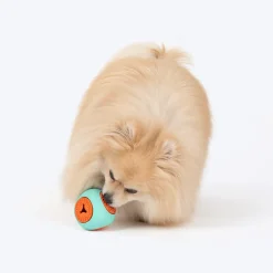 Dash Dog Quadrafun Chew Toy For Dog - Blue & Orange