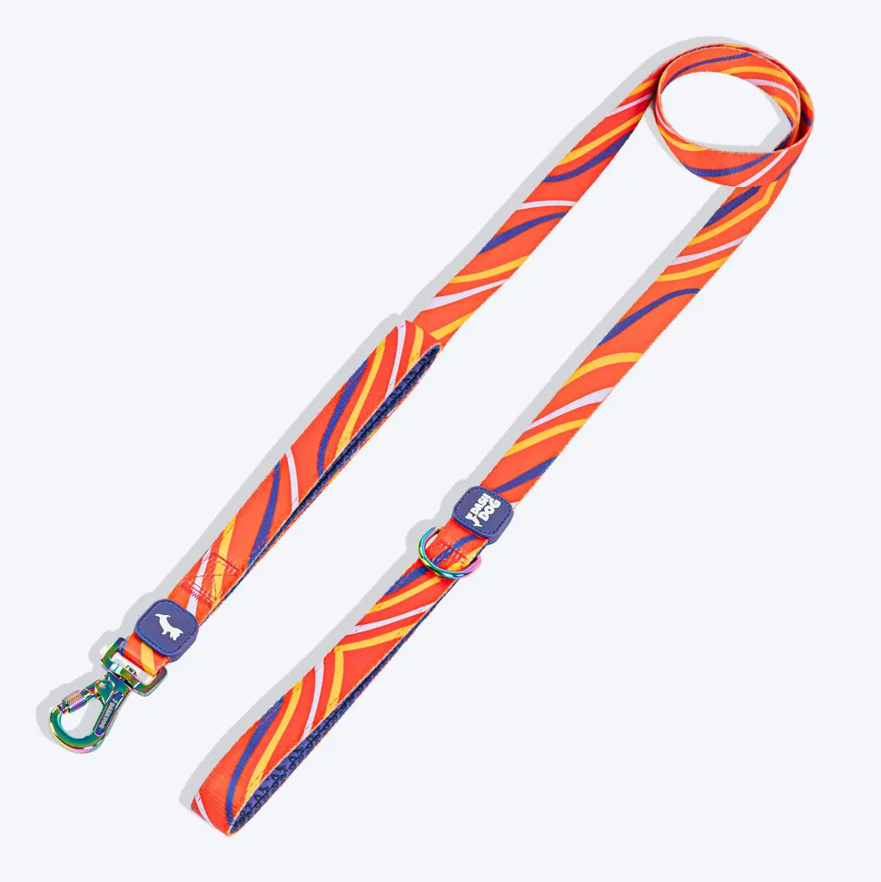 Dash Dog Radiant Blaze Dual Handle Leash For Dog - Orange