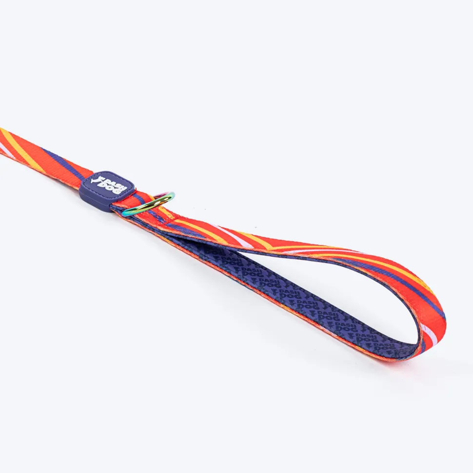 Dash Dog Radiant Blaze Dual Handle Leash For Dog - Orange