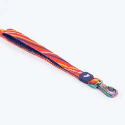 Dash Dog Radiant Blaze Dual Handle Leash For Dog - Orange