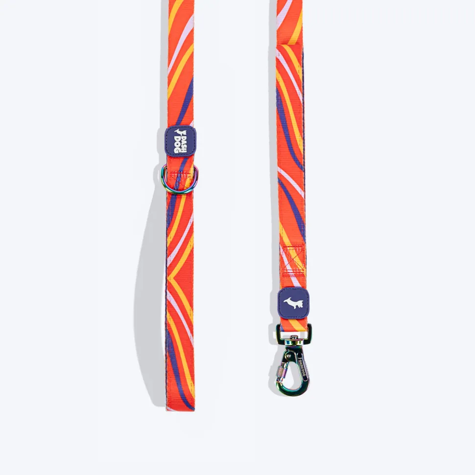 Dash Dog Radiant Blaze Dual Handle Leash For Dog - Orange