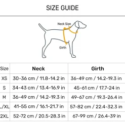Dash Dog Radiant Blaze Easy Walk Harness For Dog - Orange