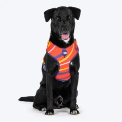 Dash Dog Radiant Blaze Easy Walk Harness For Dog - Orange