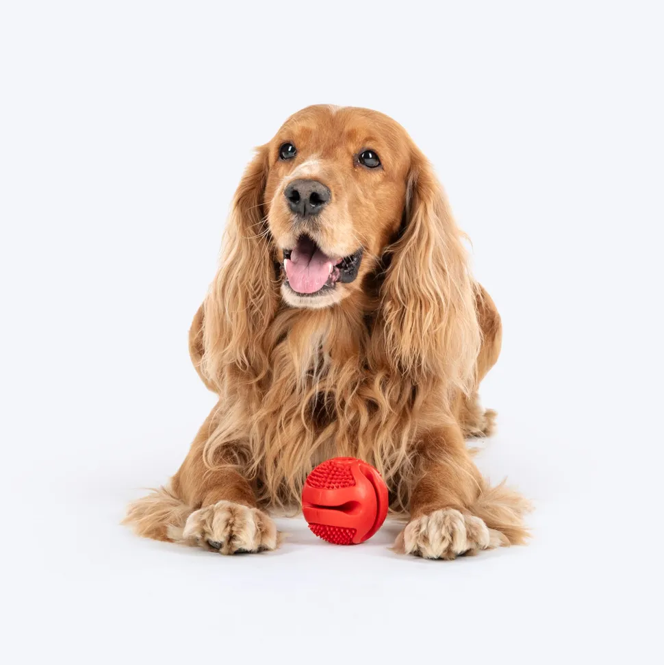 Dash Dog Spikey Snacker Chew Ball Dog Toy - Red