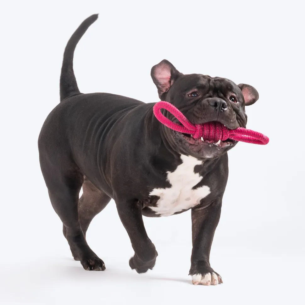 Dash Dog Spin Around Rope Dog Toy - Purple