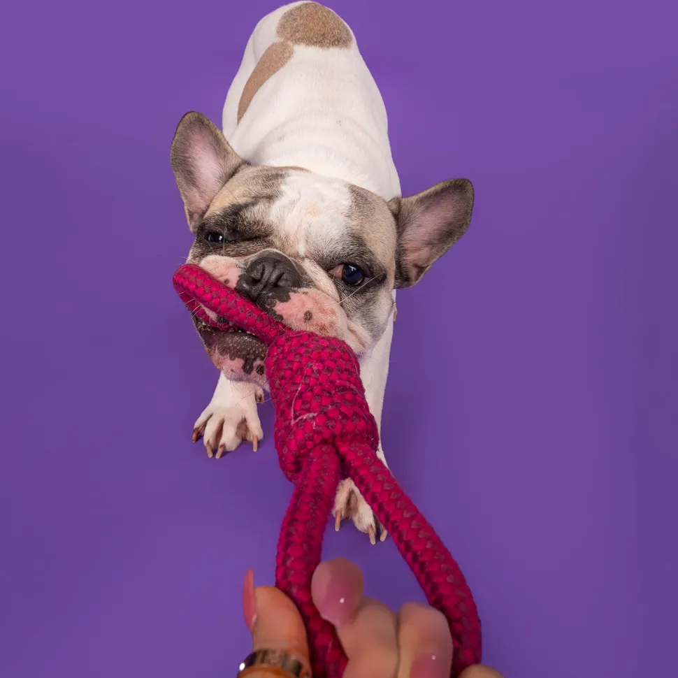 Dash Dog Spin Around Rope Dog Toy - Purple