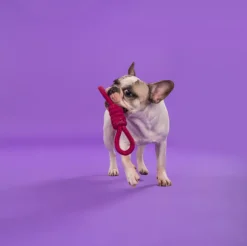Dash Dog Spin Around Rope Dog Toy - Purple