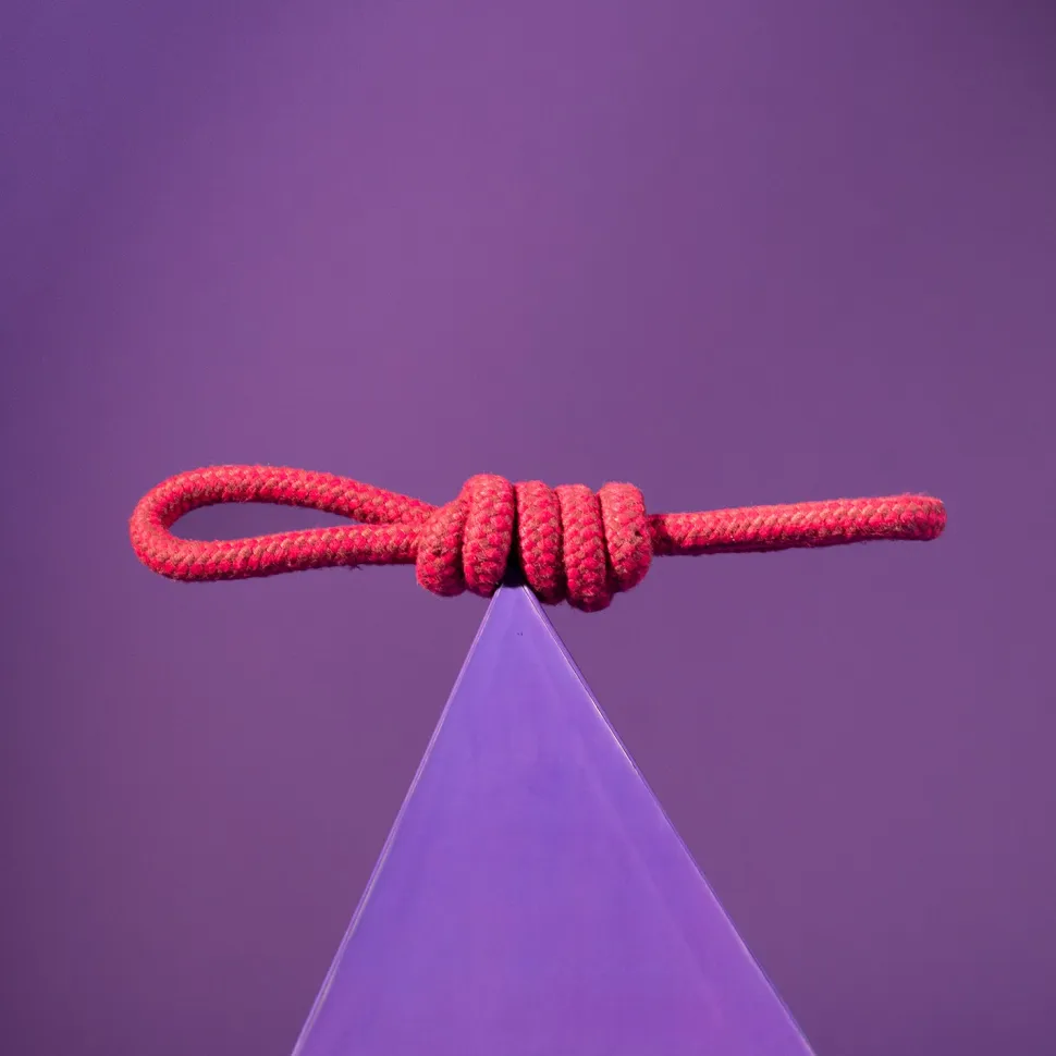 Dash Dog Spin Around Rope Dog Toy - Purple